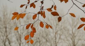 Regionaler Herbstkirchen-Gottesdienst