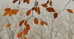 Regionaler Herbstkirchen-Gottesdienst