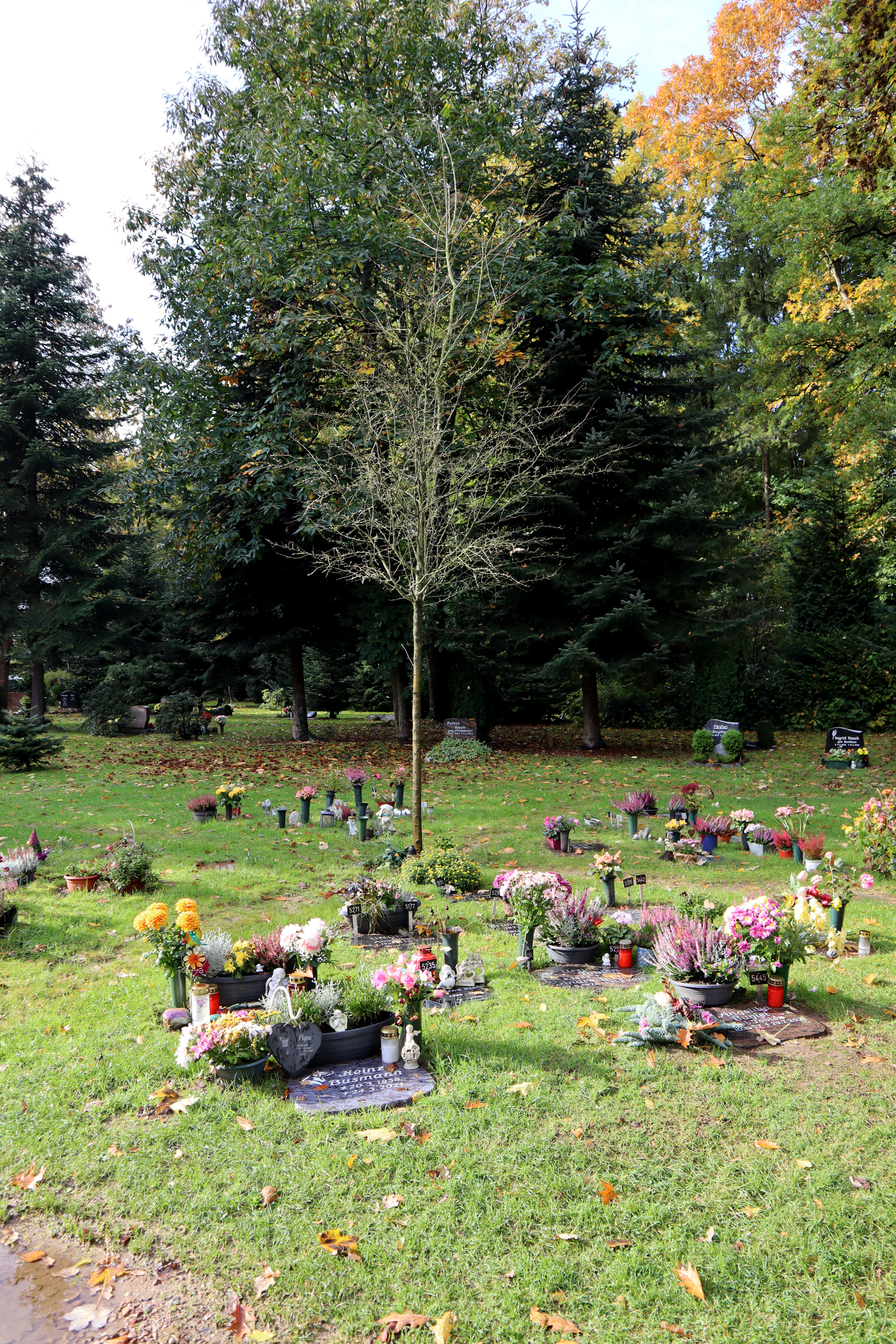 Waldfriedhof Hohenlockstedt