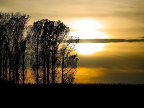 Musikalischer Abendgottesdienst mit Sames & Inoue in ISERBROOK