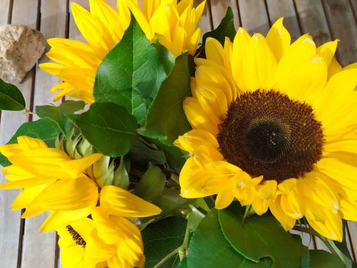 Literatur-Gottesdienst am Abend mit Pastorin Marion Hild