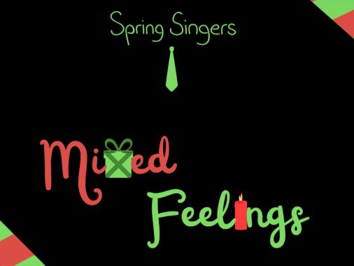 "mixed Feelings" - Herzliche Einladung zu dem A Cappella-Konzert von den Spring Singers