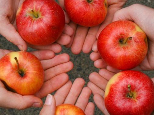 Erntedankfest - Andacht mit spätem Frühstück
