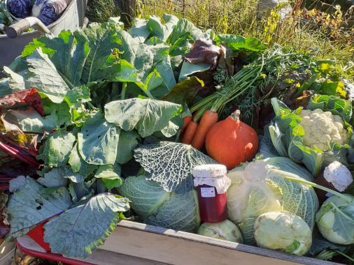 Erntedankgottesdienst mit Pastor Norbert Siemen