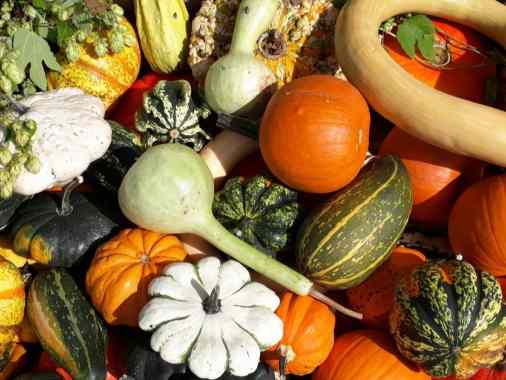 Gottesdienst am Erntedanktag ACHTUNG: In der Kirche!