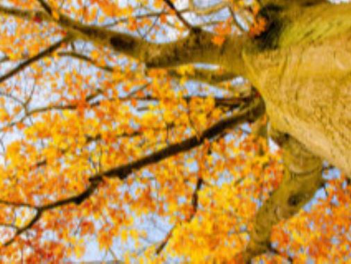 Gottesdienst Jarplund