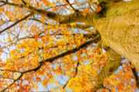 <a href="/veranstaltungen/detailansicht/event/gottesdienst-jarplund-2.html" target="_self">Gottesdienst Jarplund</a>