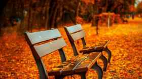 Gottesdienst zum Buß- und Bettag