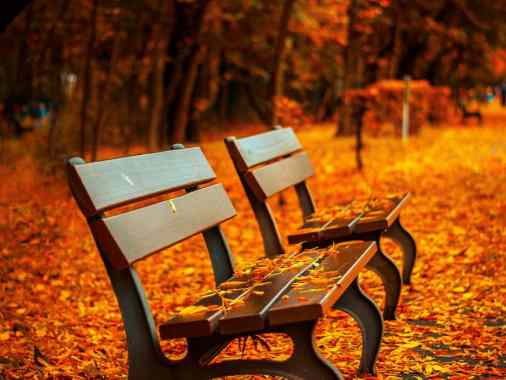 Gottesdienst zum Buß- und Bettag