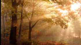 Gottesdienst zum Volkstrauertag