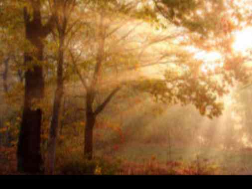 Gottesdienst zum Volkstrauertag