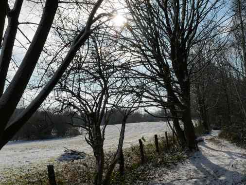 Winterwege 2026 - Anmeldung bis zum 3. Advent