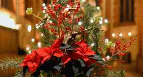 2. Advent | Gottesdienst mit Prädikantin Heidi Krause-Langenheim