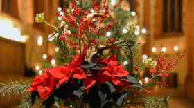 2. Advent | Gottesdienst mit Prädikantin Heidi Krause-Langenheim