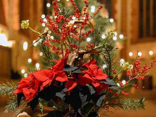 2. Advent | Gottesdienst mit Prädikantin Heidi Krause-Langenheim