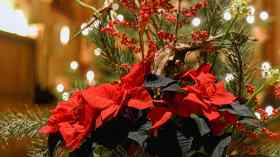 3. Advent | Abendmahlsgottesdienst mit Pastorin Sabrina Biehl