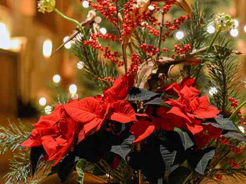 3. Advent | Abendmahlsgottesdienst mit Pastorin Sabrina Biehl