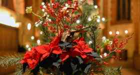 4. Advent | Familiengottesdienst mit Pastorin Sabrina Biehl