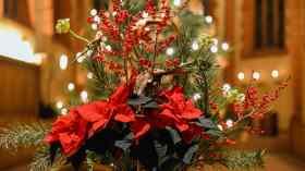 4. Advent | Familiengottesdienst mit Pastorin Sabrina Biehl