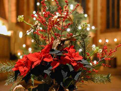 4. Advent | Familiengottesdienst mit Pastorin Sabrina Biehl