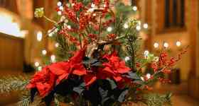 Heiligabend | Familiengottesdienst mit Krippenspiel - Pastorin Sabrina Biehl