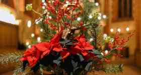 Heiligabend | Christvesper mit Pastorin Sabrina Biehl