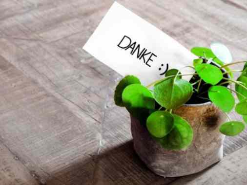 Gottesdienst zur Verabschiedung von Pastorin Paschen