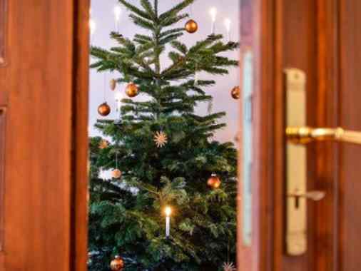 Krippenspiel-Gottesdienst, Prädikantin Rödger