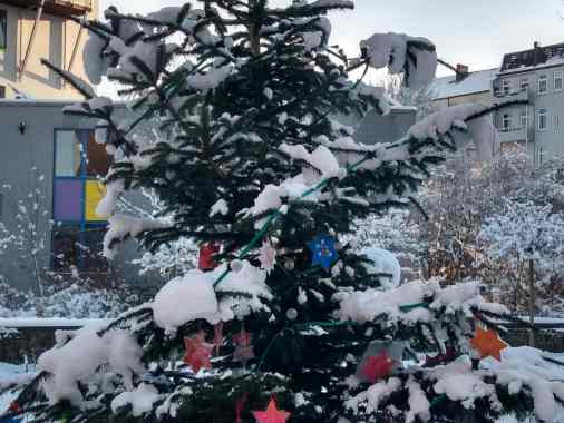 Tannenbaumanleuchten zum 1. Advent