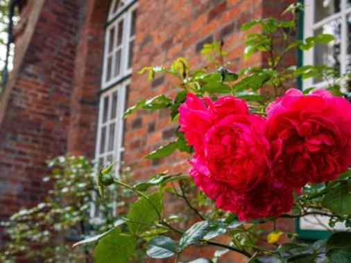 Gottesdienst zum Ewigkeitssonntag