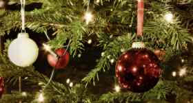 Christvesper mit Schrägen Vögeln