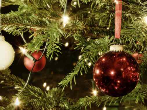 Christvesper mit Schrägen Vögeln