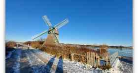 Neujahrsspaziergang mit geistlichen Impulsen auf der Geltinger Birk