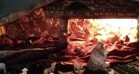 Krippenspiel- Gottesdienst am Heiligen Abend