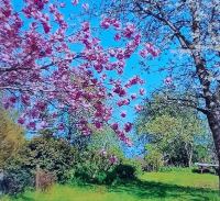 <a href="/veranstaltungen/detailansicht/event/gartentag-2025.html" target="_self">Gartentag 2025</a>