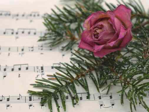 Pfarrsprengelgottesdienst mit europäischen Weihnachtsliedern