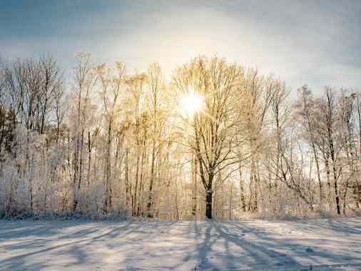 Gottesdienst mit Abendmahl