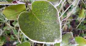 leider abgesagt: Wie wir uns neu in die Welt verlieben - Radikales Hiersein in einer Welt im Umbruch