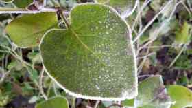 leider abgesagt: Wie wir uns neu in die Welt verlieben - Radikales Hiersein in einer Welt im Umbruch