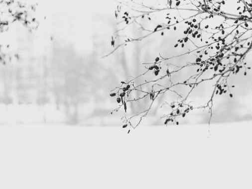 Gottesdienst am 1. Sonntag nach Epiphanias mit Pastorin Sabrina Biehl