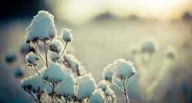 Gottesdienst am 3. Sonntag nach Epiphanias mit Pastor Norbert Siemen