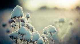 Gottesdienst am 3. Sonntag nach Epiphanias mit Pastor Norbert Siemen