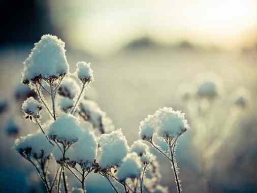 Gottesdienst am 3. Sonntag nach Epiphanias mit Pastor Norbert Siemen