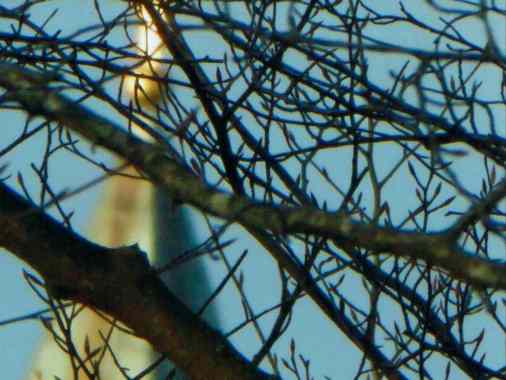 Gottesdienst mit Pastor Norbert Siemen