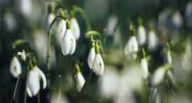 Gottesdienst der Förderegion mit Pastor Thorsten Kelm