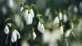 Gottesdienst der Förderegion mit Pastor Thorsten Kelm