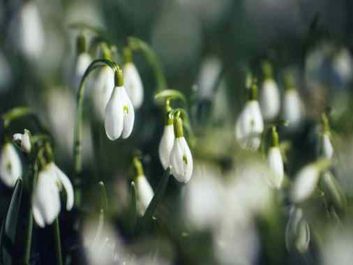 Gottesdienst der Förderegion mit Pastor Thorsten Kelm