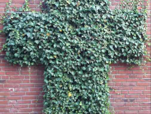 Gottesdienst mit Prädikantin Heidemarie Krause-Langenheim