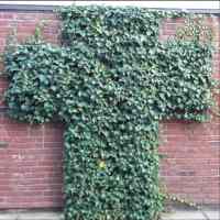 <a href="/veranstaltungen/detailansicht/event/gottesdienst-mit-praedikantin-heidemarie-krause-langenheim-2.html" target="_self">Gottesdienst mit Prädikantin Heidemarie Krause-Langenheim</a>