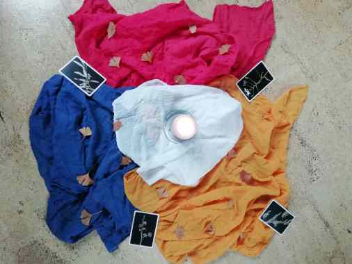 Meditatives Tanzen- Bachblütentänze